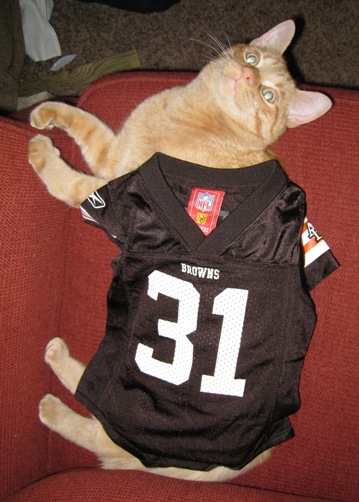 The baby Browns jersey fits Marmalade perfectly!